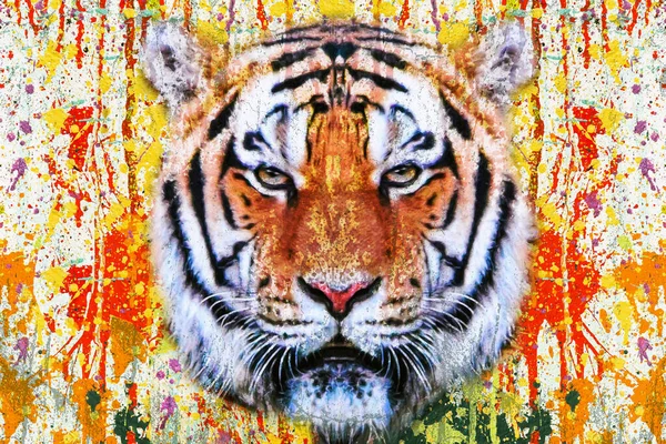 Colorido Tigre Artístico Focinho Com Respingos Tinta Brilhante Fundo Branco — Fotografia de Stock