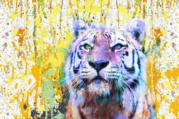 Kolorowy Artystyczny Kaganiec Tygrysa Jasnymi Rozpryskami Farby Białym Tle — Zdjęcie stockowe