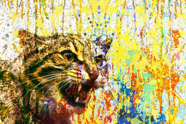 Colorful Artistic Cat Muzzle Bright Paint Splatters White Background — Stock Photo, Image
