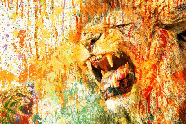 Colorful Artistic Roaring Lion Cat Bright Paint Splatters White Background — Foto de Stock