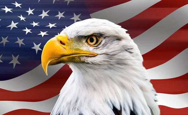 Colorful Artistic Eagle Usa Flag Background —  Fotos de Stock