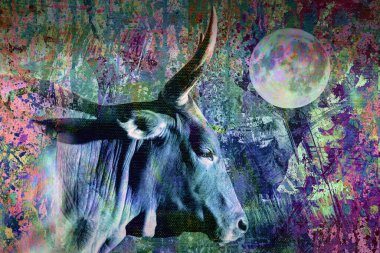 Ay 'lı öküz başı ve karanlık arka planda yaratıcı elementler, Çin ay takvimi kavramı 