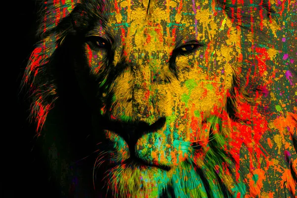 Colorful Artistic Lion Muzzle Bright Paint Splatters White Background — Stock Photo, Image