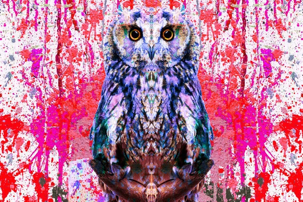 colorful artistic owl with bright paint splatters on white background.