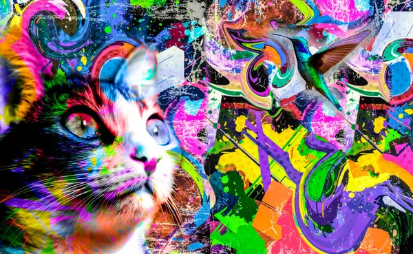 Colorido Artístico Gato Focinho Com Respingos Tinta Brilhante Fundo Escuro — Fotografia de Stock