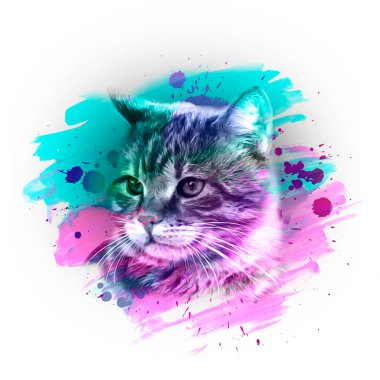 Beyaz arka planda parlak boya lekeleri olan renkli sanatçı kedicik ağızlığı..