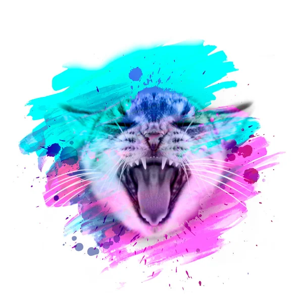 Kolorowy Artystyczny Kot Pysk Jasnymi Rozpryskami Farby Białym Tle — Zdjęcie stockowe