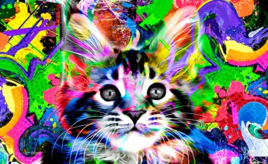 Koyu arkaplanda parlak boya lekeleri olan renkli sanatsal kedi ağızlığı..