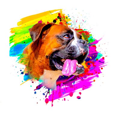 Beyaz arka planda yaratıcı elementlere sahip sevimli köpek kafası