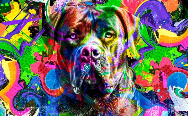 Colorful Artistic Dog Muzzle Bright Paint Splatters Dark Background — Stock Photo, Image