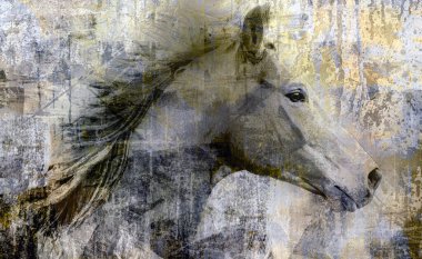 Beyaz arka planda monokrom soyut elementleri olan şirin at kafası.