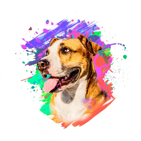 Bunte Künstlerische Hundeschnauze Mit Hellen Farbspritzern Auf Weißem Hintergrund — Stockfoto