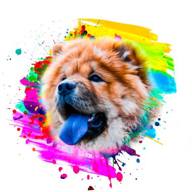 chow chow dog head beyaz arkaplanda yaratıcı soyut elementlerle