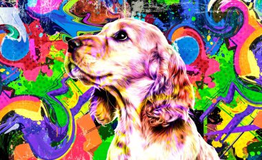 Cocker Spaniel köpek kafası beyaz arka planda yaratıcı renkli soyut elementlerle