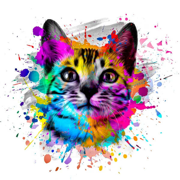 Colorful Artistic Cat Muzzle Bright Paint Splatters White Background — Stock Photo, Image