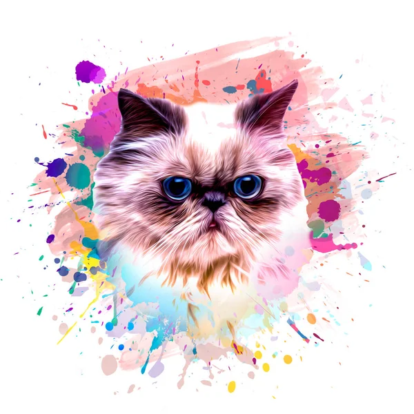 Colorido Artístico Gato Hocico Con Brillante Pintura Salpicaduras Sobre Fondo —  Fotos de Stock