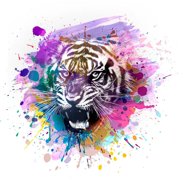 Colorido Hocico Tigre Artístico Con Salpicaduras Pintura Brillante — Foto de Stock