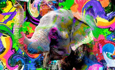 Arkaplan renk sanatına sahip fil