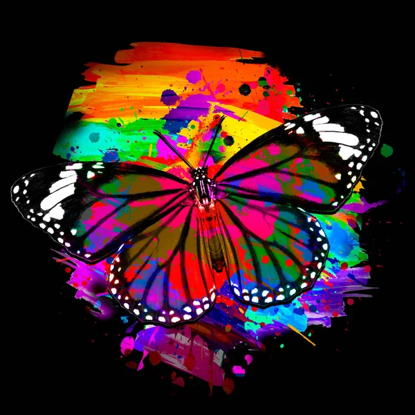 Butterfly Bright Paint Splatters — Stock Photo, Image