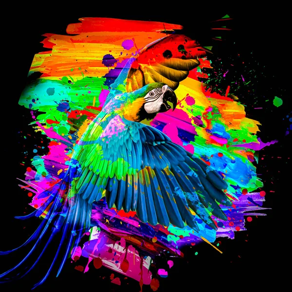 Perroquet Coloré Abstrait Avec Éclaboussures Peinture Colorée Sur Fond — Photo