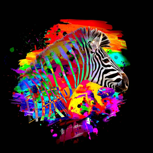 Kolorowe Kaganiec Zebry Artystycznej Jasnymi Rozpryskami Farby — Zdjęcie stockowe