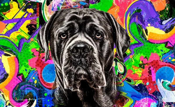 Porträt Eines Hundes Farbe Kunst — Stockfoto