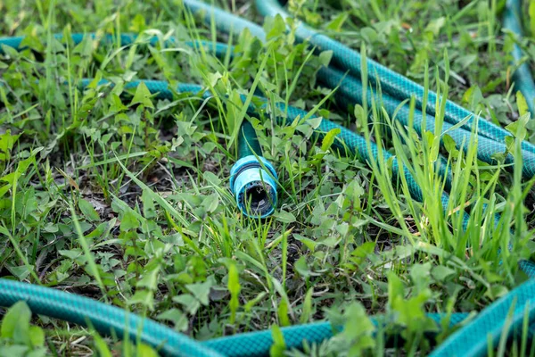 Green garden hose lying on the grass — Stock Photo, Image