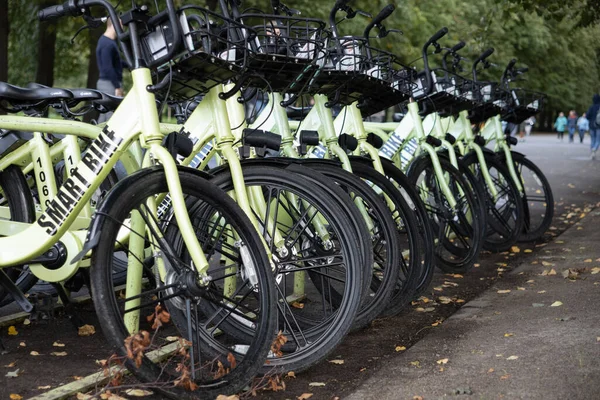 Une rangée de vélos de location dans un parc — Photo
