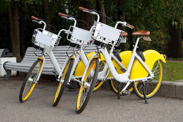Trois vélos de location dans un parc — Photo