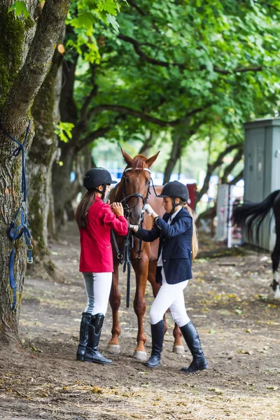 Kızlar jockeys ve at. — Stok fotoğraf