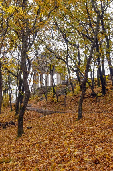 Ormanda çardak. . — Stok fotoğraf