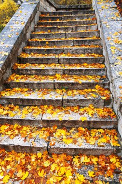 eski bir taş merdiven.