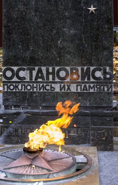"Η αιώνια φλόγα "στο μνημείο των έκπτωτων υπερασπιστών της μητέρας — Φωτογραφία Αρχείου