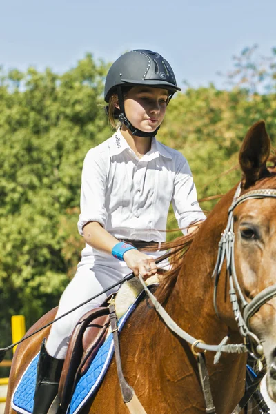 La ragazza - il cavaliere . — Foto Stock