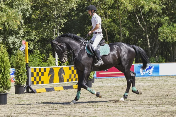 El jinete en el caballo negro . — Foto de Stock