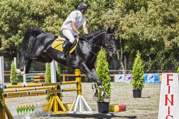 Paard en ruiter. — Stockfoto