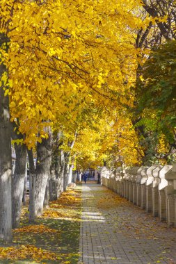 Şehir sokak. Sonbahar.
