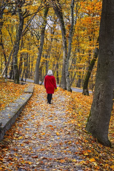 Sonbahar parkındaki kadın. — Stok fotoğraf