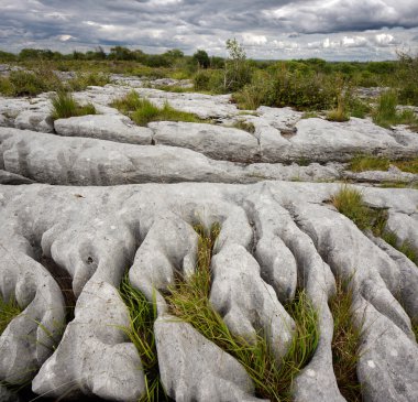 Rocky landscape of The Burren in County Clare, Ireland clipart