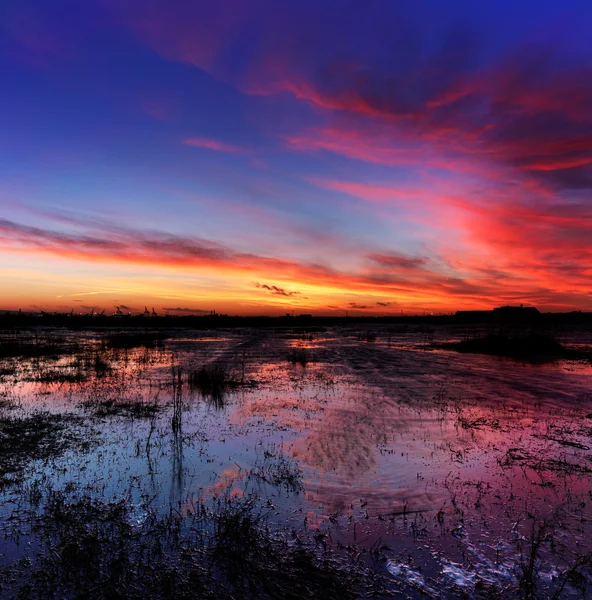 Schöner Himmel an einem windigen Tag — Stockfoto