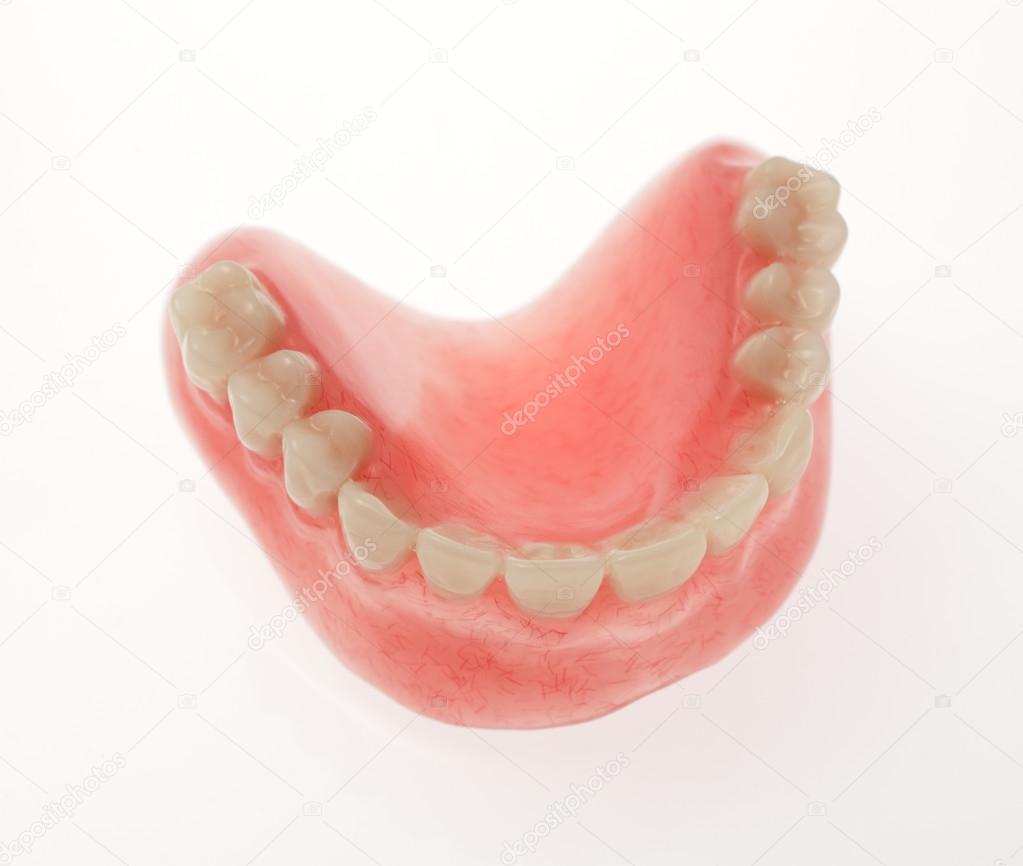 An upper denture on white background