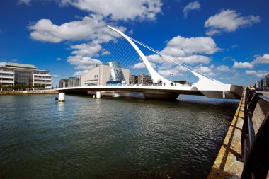 Samuel Beckett Bridge Dublin şehir merkezinde