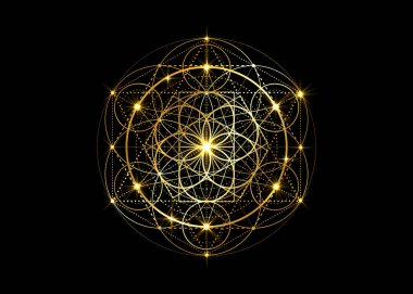 Yaşam sembolü Kutsal Geometri. Simya 'nın gizemli hayat çiçeğinin geometrik mistik mandala' sı. Altın lüks tasarım, kutsal meditasyon tılsımı vektörü, siyah arka planda izole edilmiş.