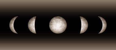 Ay, kara arkaplandaki astronomi gerçekçi imajını aşamalar. Yeni aydan dolunaya döngünün vektör illüstrasyonu