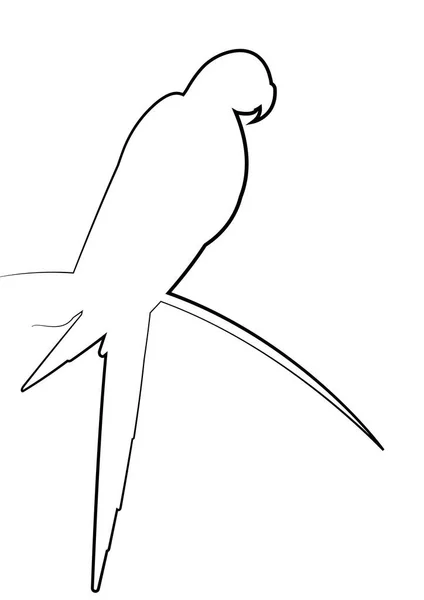 Pappagallo Uccello Linea Stile Arte Disegno Continuo Linea Nera Macaw — Vettoriale Stock