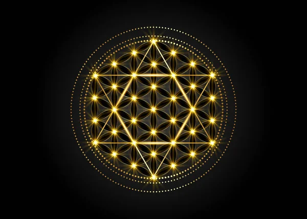 Geometría Sagrada Cubo Metatrones Estrella David Dorada Con Flor Brillante — Vector de stock