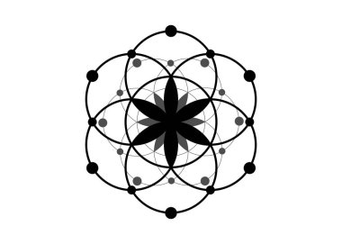 Yaşam sembolü Kutsal Geometri. Simya ezoterik hayat çiçeğinin logo simgesi Geometrik mistik mandala. Siyah vektör dövmesi. İlahi meditasyon tılsımı. Beyaz arka planda izole edilmiş.