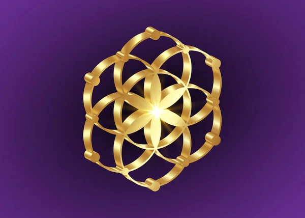 Seed of life symbol Sacred Geometry. 3D Geometric mystic mandala of alchemy esoteric Flower of Life. Gold luxury design, vector divine meditative amulet isolated on dark purple background