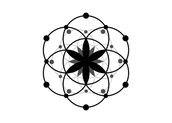 Symbole Semence Vie Géométrie Sacrée Logo Icône Mandala Mystique Géométrique — Image vectorielle