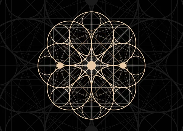 Σπόρος Ζωής Σύμβολο Ιερή Γεωμετρία Λογότυπο Γεωμετρική Μυστικιστική Μαντάλα Της — Διανυσματικό Αρχείο